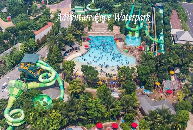 Adventure Cove Waterpark